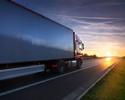 domestic kamilogistic